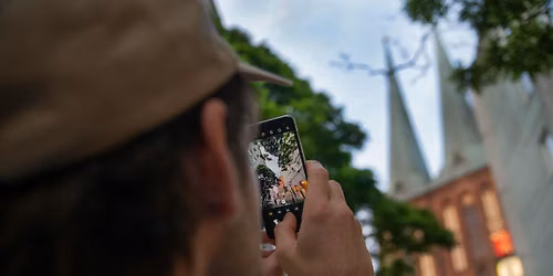 Smartphone Photography