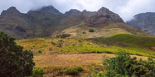 Make an appointment to view Disa Park Preschool and Baby Care on the slopes on Table Mountain