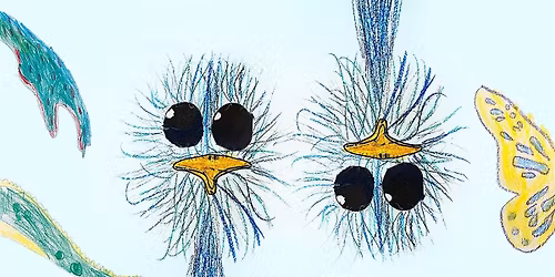 "Shape Shifters" work-in-progress NEA Member Special!