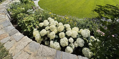 LVIS Grounds Tour
