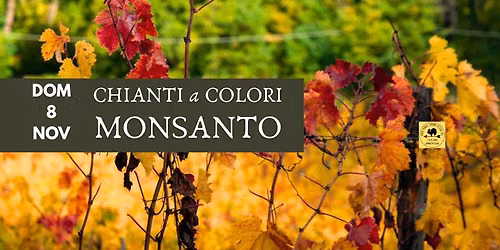 \ud83c\udf42 Monsanto Foliage \ud83c\udf42