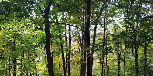 Riverwood trail- Wiesia will be leading these hikes