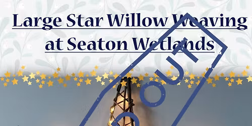 Large Star Willow Weaving