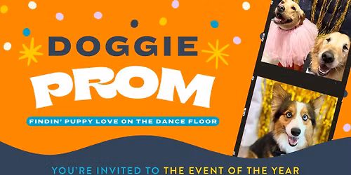 Doggie PROM