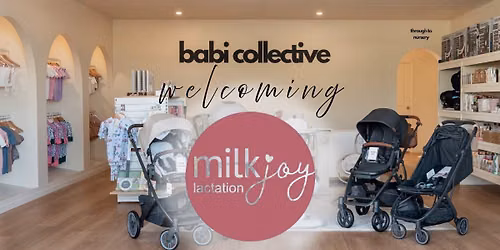 Milk Joy Lactation Consultant Visit