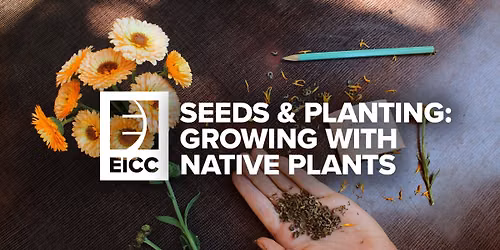 Seeds & Planting: Growing with Native Plants