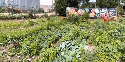 From Dirt to Dinner: Garden basics & Designs