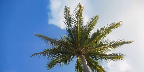 Navidad Hotel Pac\u00edfic Place Beach \ud83c\udf8523 al 26 de diciembre 2025\ud83c\udf85