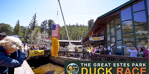 Parking The Great Race