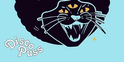 DISCO PUSS Bristol Launch w\/ TOUCH OF FUNK "All Night Long" - Bristol Debut