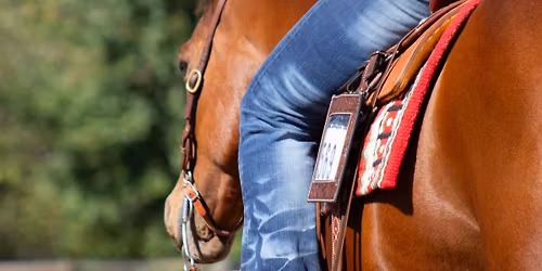 Open Ranch & Pleasure Show