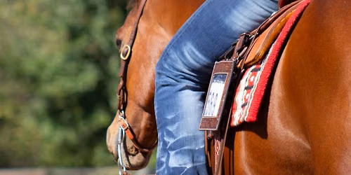 Open Ranch & Pleasure Show
