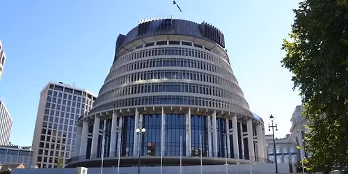 Beehive Protest - Wellington