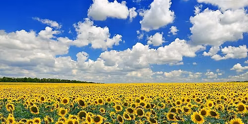 Harvesting Your Inner Abundance: A Summer Zen Yoga Retreat