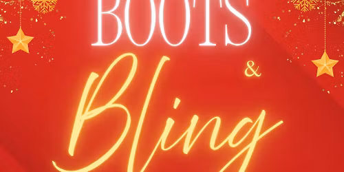 Boots and Bling Ball for Heart of Phoenix Equine Rescue 