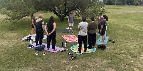 Forest Bathing - Ba\u00f1o de Bosque