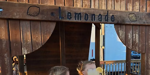 Lemonade Stand \ud83c\udf4b + Popsicles & Sourdough