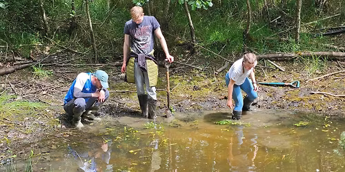 Volunteer Day \u2013 Hampton Nature reserve