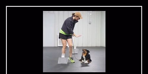 Tulsa Dog Training Club - AKC Rally and Obedience Trials