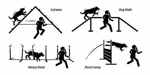 Agility Practice 