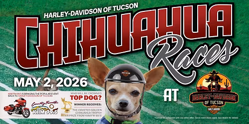 Chihuahua Race at Harley-Davidson of Tucson