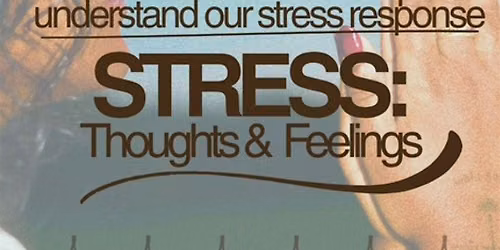 Stress: Thoughts & Feelings, Meditation to Understand Our Stress Response