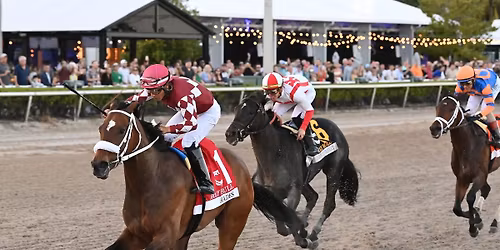 Night At The Races 