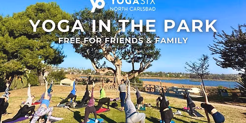 FREE Yoga in the Park