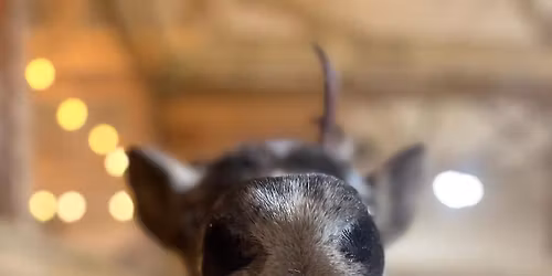 Christmas Open House