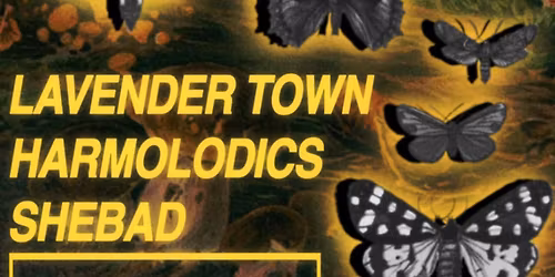Harmolodics