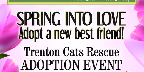 Trenton CatsRescue Petsmart Fairless Hills Adoption Event