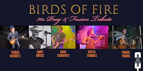 Local Artist Spotlight: Birds of Fire