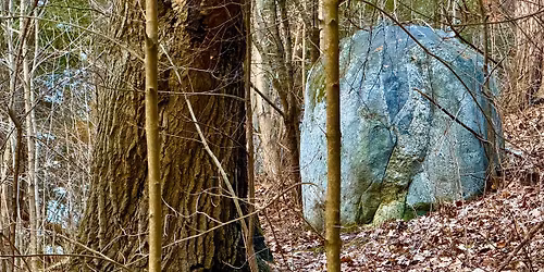 Witches\u2019 Rock Tour, behind the Rockcliffe Pavilion 