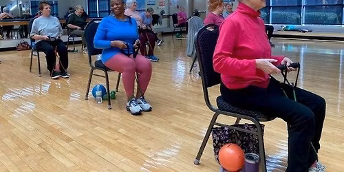 Silver Sneakers Classic