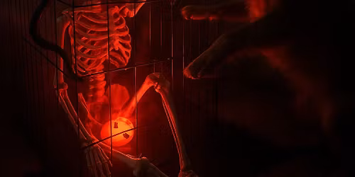 Trening Halloween w Norman Dog Nosework