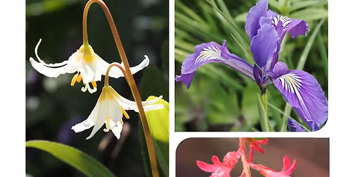 CPS Spring Native Plant Sale