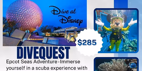 Dive Disney!