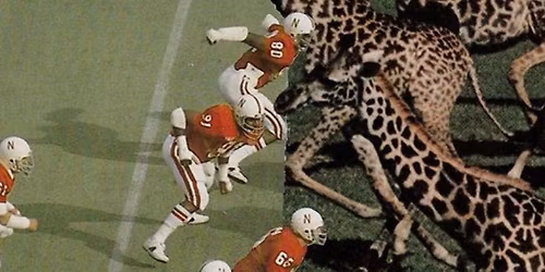 Bazar d'Avril - Habiter la limite