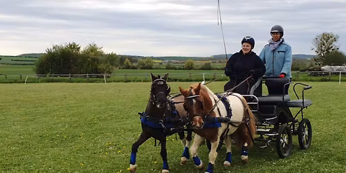 Stage Initiation et Perfectionnement Attelage