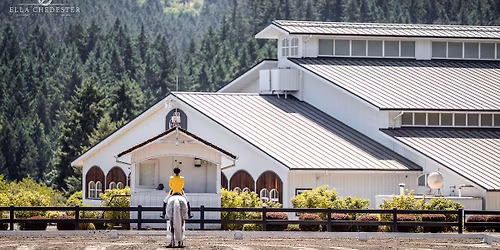 DevonWood in the Spring - USEF Level 3