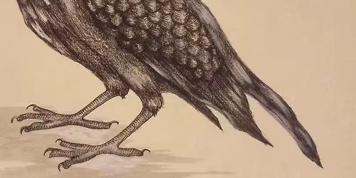 Ted Nunes & Richfield live at Summer Fox Brewing Company - Tower Districy