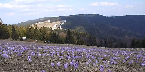 Korona G\u00f3r Polski, Diadem Polskich G\u00f3r, Korona Gorc\u00f3w \u2013  Turbacz