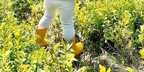 Decorative Embroidery on Knitwear Workshop