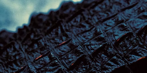 Wage War, Nevertel, Orthodox in Salt Lake City