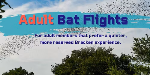 Adult Evening Bat Flights