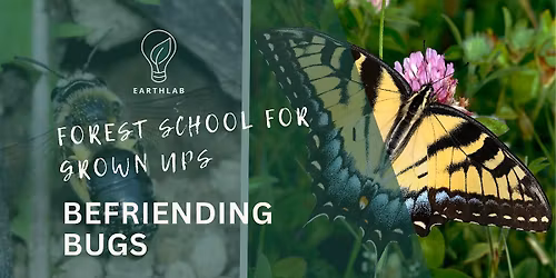 Forest School for Grown Ups: Befriending Bugs