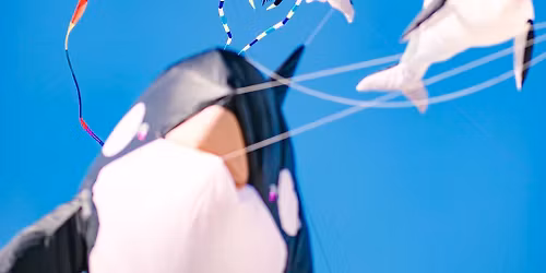 Cape Fear Kite Festival Weekend 2025