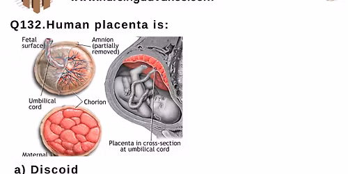 MCQs of placenta