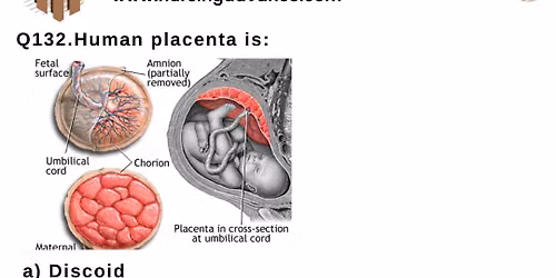 MCQs of placenta 