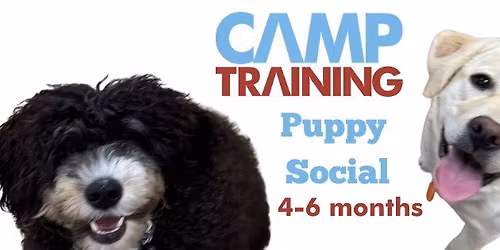 Puppy Social 4-6 months